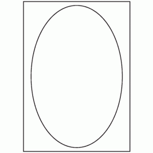 481-01 Oval Label 180mm x 280mm